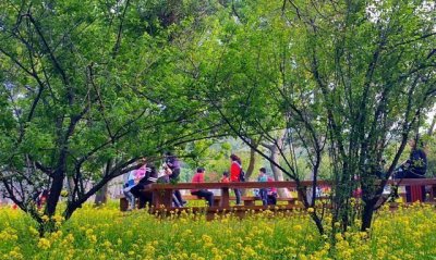 ​福建又一公园走红,人称厦门“后花园”,耗资5亿全天免费开放
