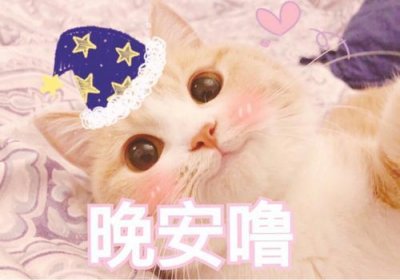 ​说晚安的可爱表情包合集