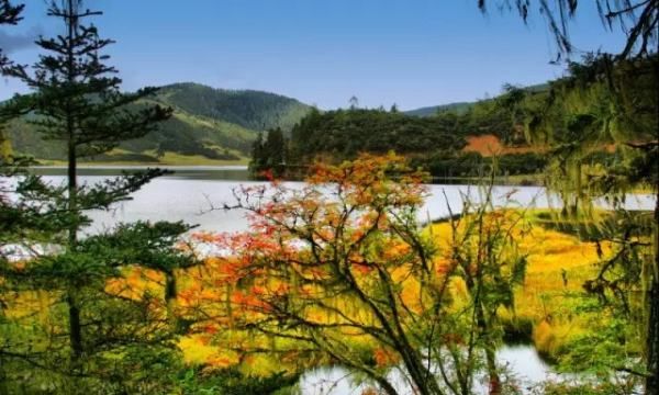 普达措国家公园在哪里,里是电视剧《司藤》的重要取景地图4