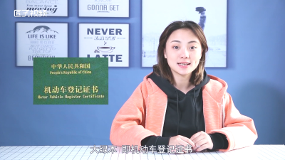 ​大绿本是什么