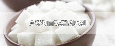 ​方糖和砂糖有什么区别 方糖白砂糖冰糖的区别