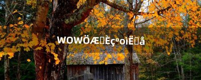 ​WOW制皮如何快速冲（wow制皮图纸)