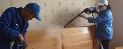 ​新床有味道怎么去除