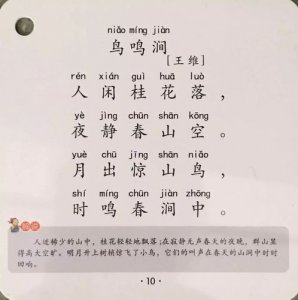 ​鸟鸣涧这首诗的意思（鸟鸣涧创作背景介绍）