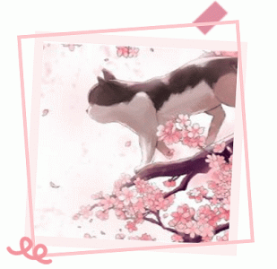 ​一分钟小知识：库里肖夫效应