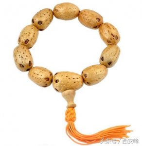 ​看图认识菩提子种类
