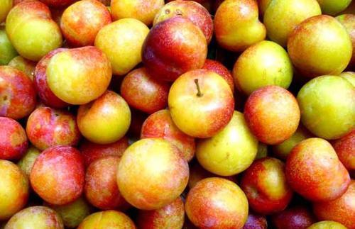 李果的功效是什么(李果的功效有哪些)