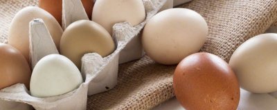 ​白色蛋黄能吃吗