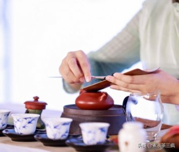 泡茶的七个基本步骤(适合新手)