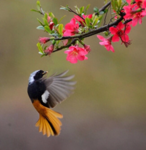 ​贾生（品读唐诗《贾生》李商隐）