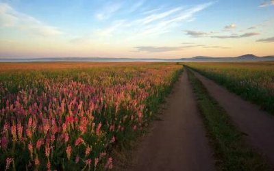 ​恭贺新婚祝词有什么，恭贺新婚的佳句欣赏