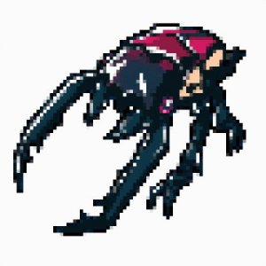 ​34种中大型甲虫的动图