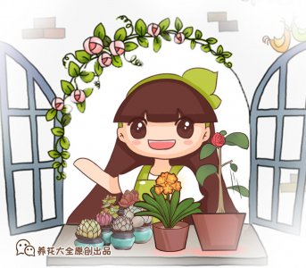 ​如何养好发财树 其实一点都不难！