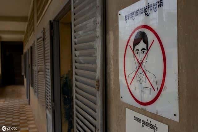 不限制尺寸直播下载2025（十大直播平台排行榜）