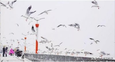 ​昆明下雪上热搜！90%的云南人表示没见过雪