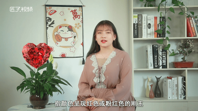 ​红宝石主要成分是什么 蓝宝石红宝石的主要成分是什么