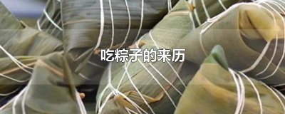 ​吃粽子的传说20字左右 吃粽子的传说20字作文