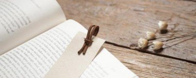 ​西子绪死亡万花筒讲什么的 死亡万花筒by西子绪txt