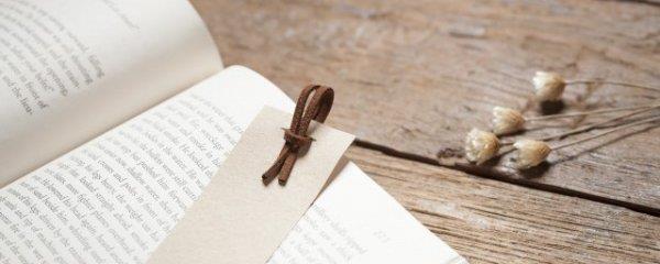 西子绪死亡万花筒讲什么的