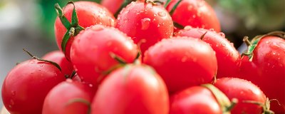 ​西红柿可以放冰箱吗