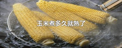 ​玉米煮多久就熟了