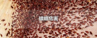 ​蟑螂危害
