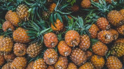 ​凤梨里面的小黑籽籽是什么