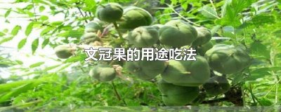 ​文冠果怎么吃好吃 文冠果怎么吃有几种吃法