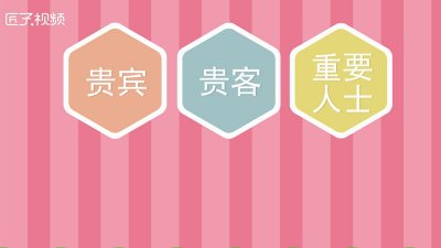 ​vip的全称是什么