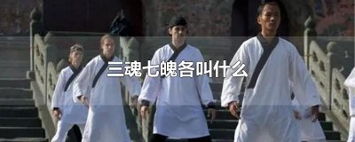 ​三魂七魄各叫什么
