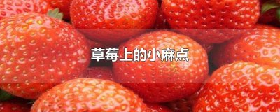 ​草莓上的小麻点