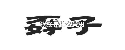 ​捞子是什么意思