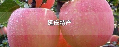 ​延庆特产
