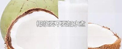 ​椰浆要不要加水煮