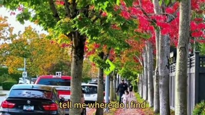 ​吻别（英文版）