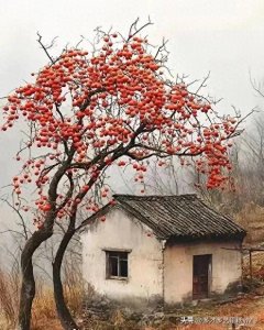 ​为什么子女条件优越，父母照样吃低保？