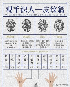 ​观手识人﹣﹣皮纹篇