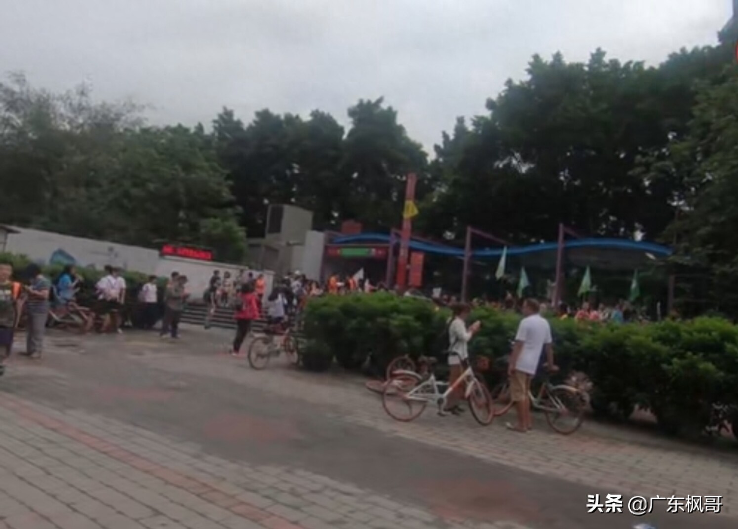 客村——我住了两年的地方