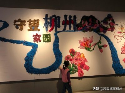 ​火遍全网的柳州，为什么选择紫荆花作为市花？